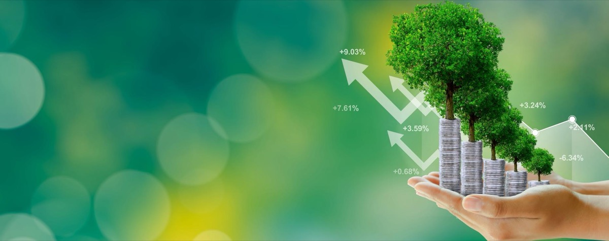 Finanz-Dienstleistungen